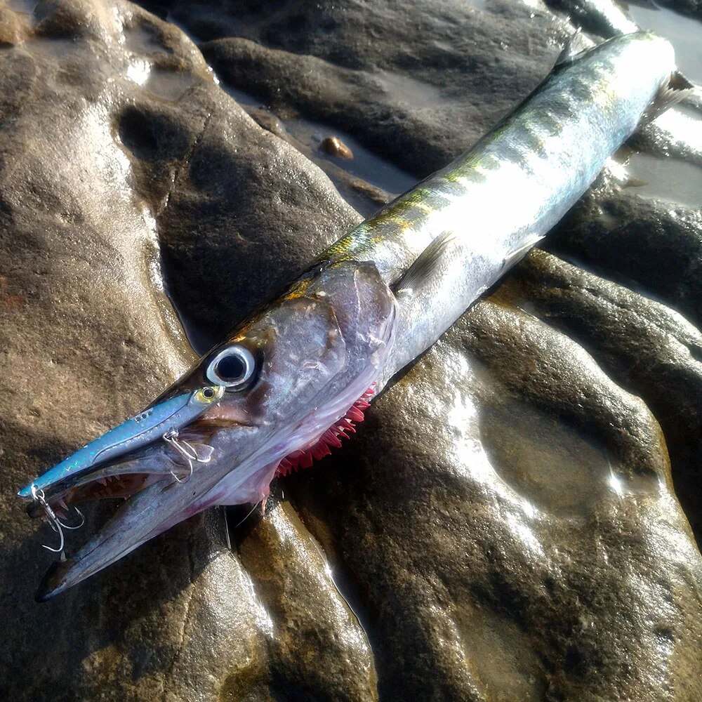 GOBAIT VIB Angelköder, 20 g, 2 – Fishing Hook Treble Bewertung und Preis